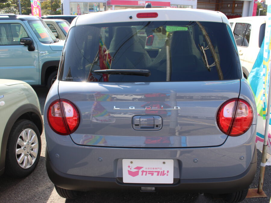 アルトラパン　ハイブリッドX　全方位カメラ付