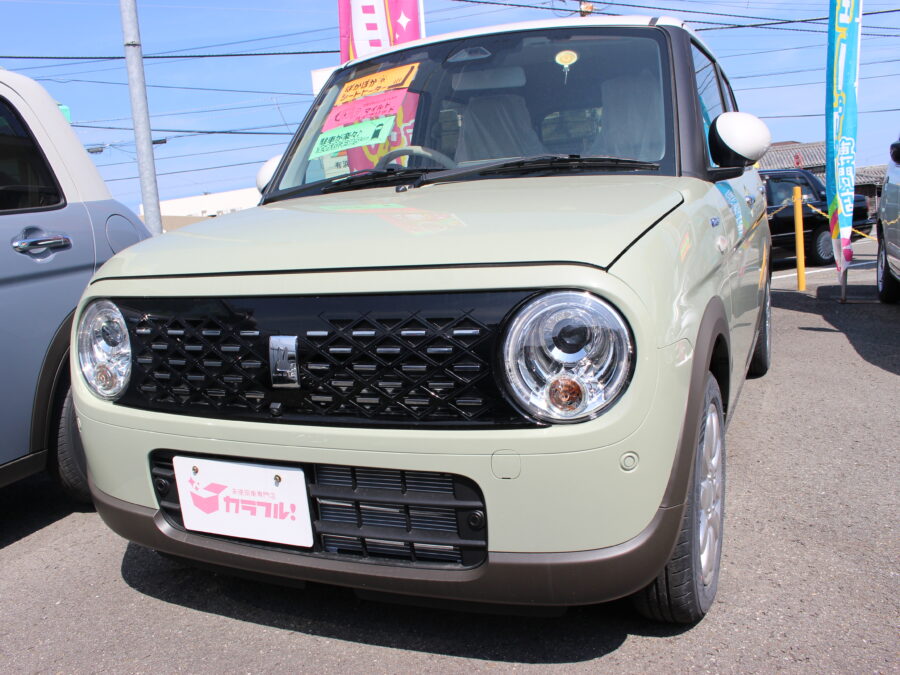 アルトラパン　ハイブリッドX　全方位カメラ付