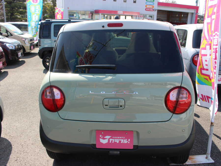 アルトラパン　ハイブリッドX　全方位カメラ付