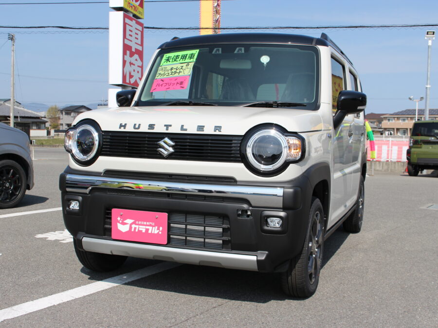 ハスラー　タフワイルド