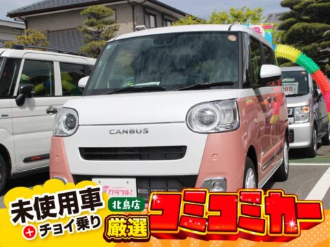 ムーヴキャンバス　ストライプスG