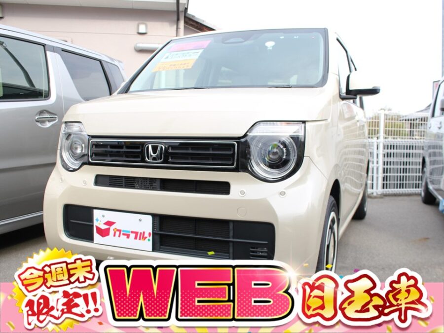 NWGN　Lファッションスタイル