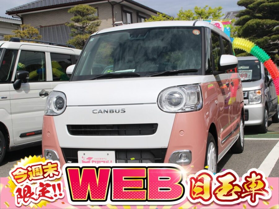 ムーヴキャンバス　ストライプスG