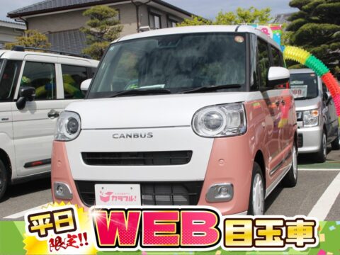 ムーヴキャンバス　ストライプスG