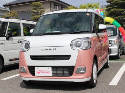 ムーヴキャンバス　ストライプスG
