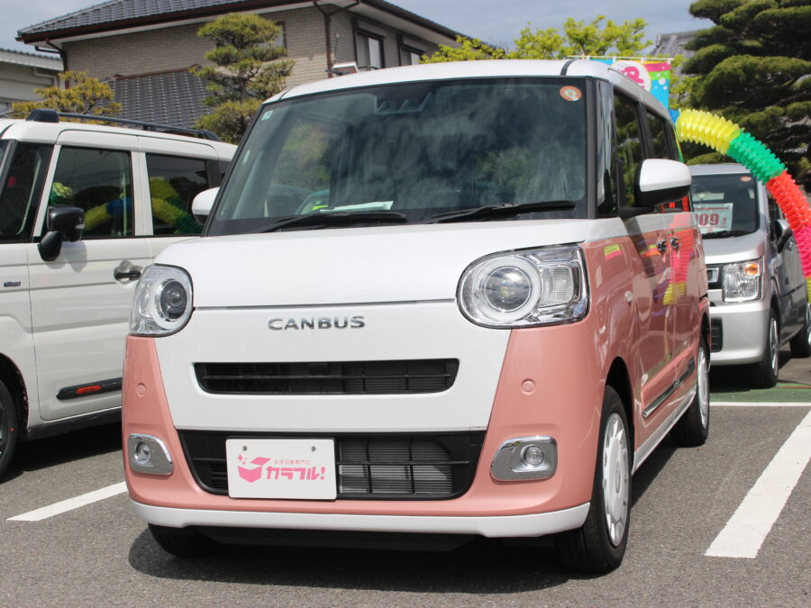 ムーヴキャンバス　ストライプスG