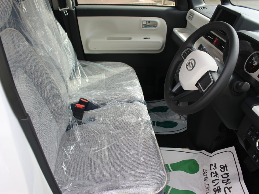 ムーヴキャンバス　ストライプスG