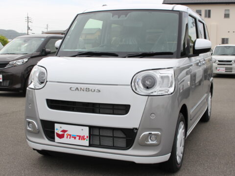 ムーヴキャンバス　ストライプスG