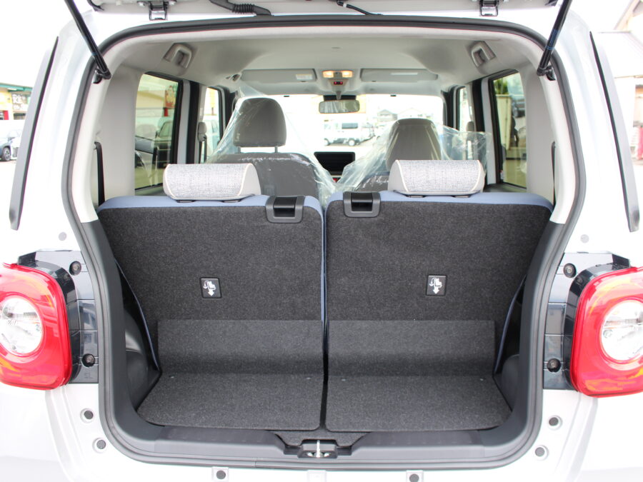 ムーヴキャンバス　ストライプスG