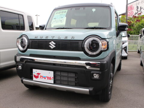 ハスラー　タフワイルド