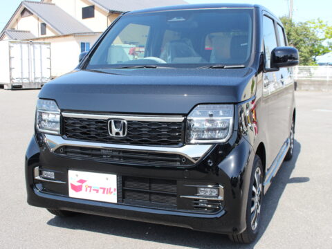 ＮＷＧＮ　カスタム　Ｌ