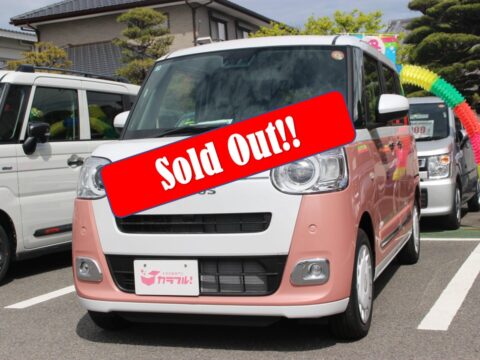 ムーヴキャンバス　ストライプスG