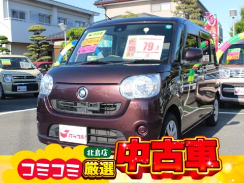 ムーヴキャンバス　LSAⅡ