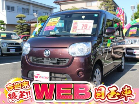 ムーヴキャンバス　LSAⅡ