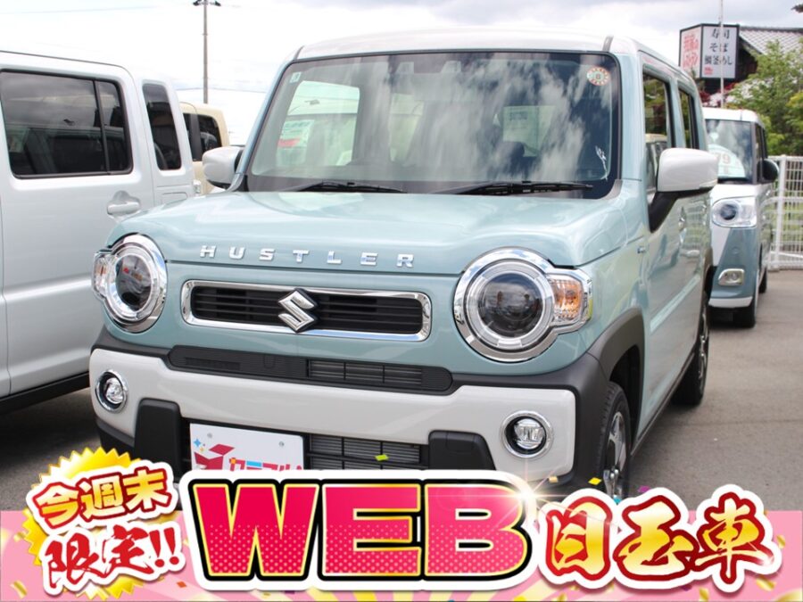 ハスラー　ハイブリッドＸ