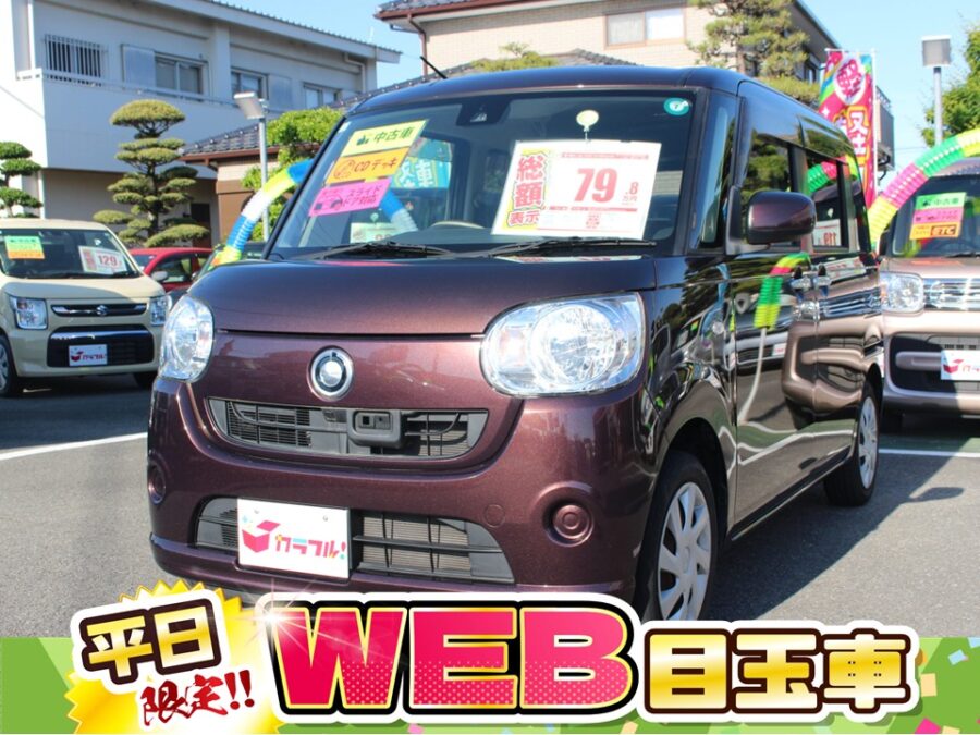 ムーヴキャンバス　LSAⅡ
