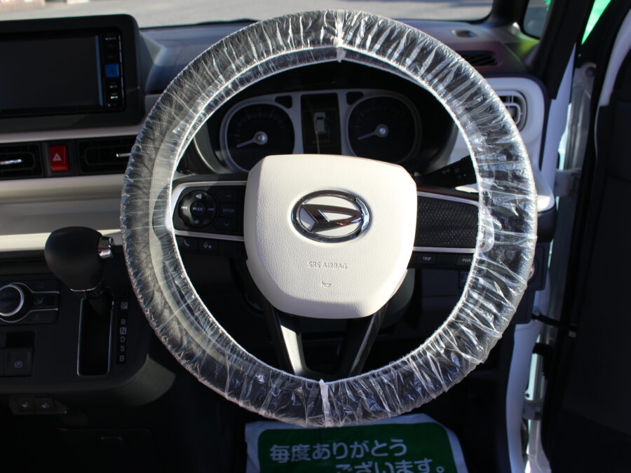ムーヴキャンバス　ストライプスG