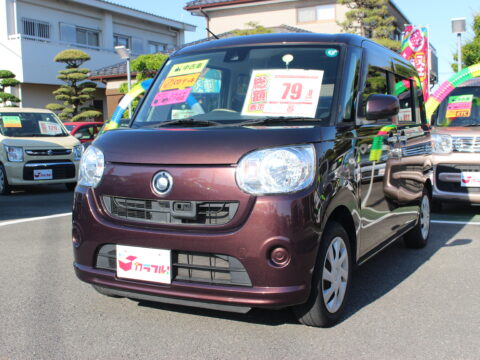 ムーヴキャンバス　LSAⅡ