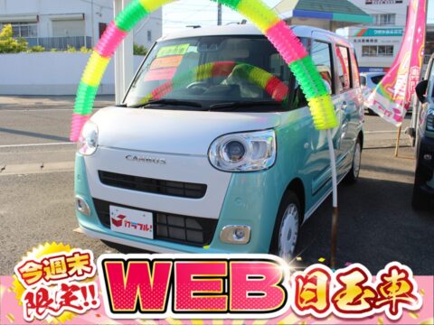 ムーヴキャンバス　ストライプスG