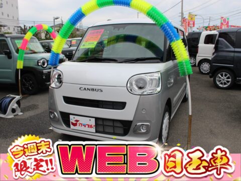 ムーブキャンバス　ストライプスG