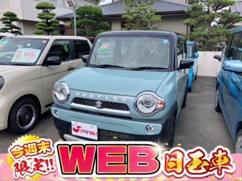 ハスラー　タフワイルド