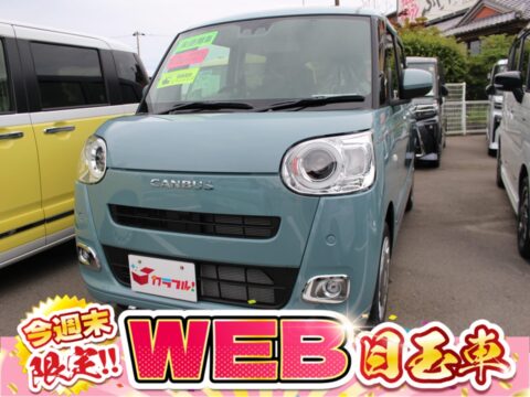 ムーヴキャンバス　セオリーＧ