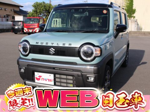 ハスラー　タフワイルド