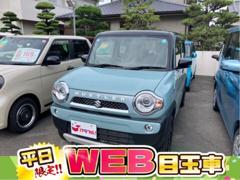 ハスラー　タフワイルド
