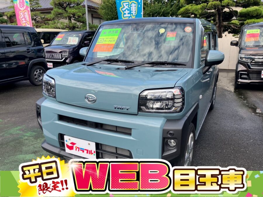 タフト　G