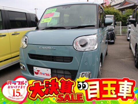 ムーヴキャンバス　セオリーＧ