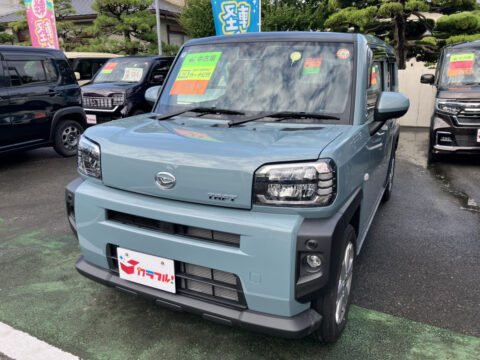 タフト　G