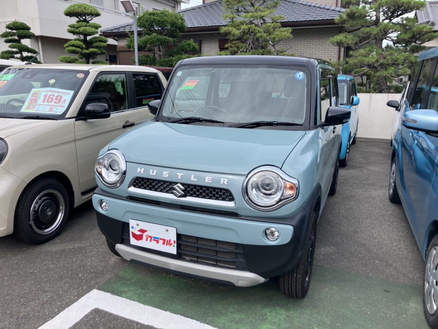 ハスラー　タフワイルド