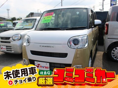 ムーヴキャンバス　ストライプスG