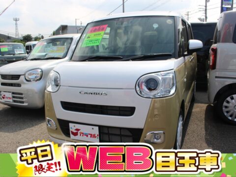ムーヴキャンバス　ストライプスG