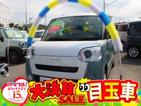 ムーヴキャンバス　ストライプスG