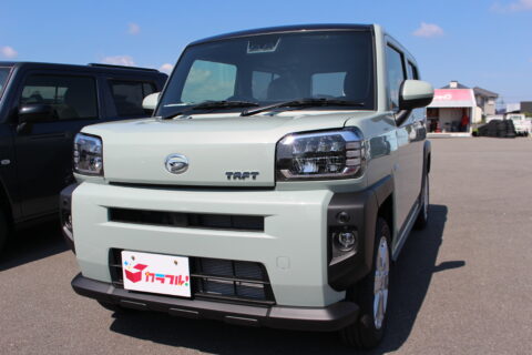 タフト　G