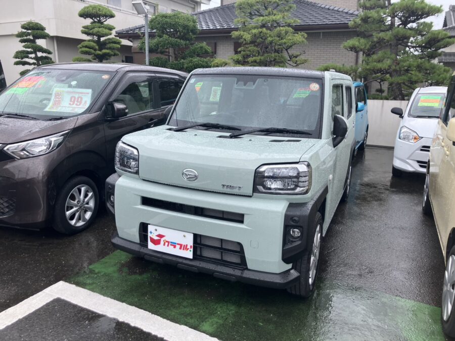 タフト　G