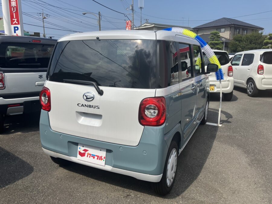 ムーヴキャンバス　ストライプスG