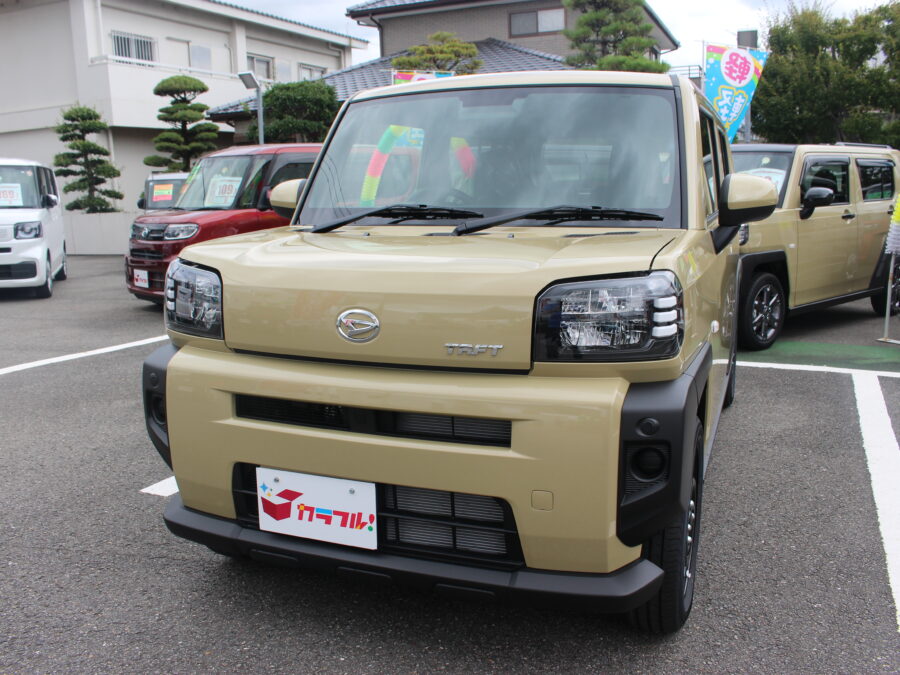 タフト　X