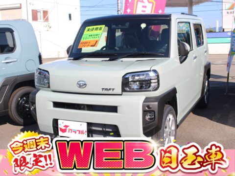 タフト　G