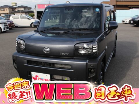タフト　X
